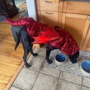 Meet your Posher, Nathan